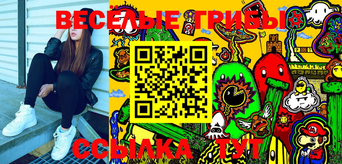 Галлюциногенные грибы Psilocybe Киров